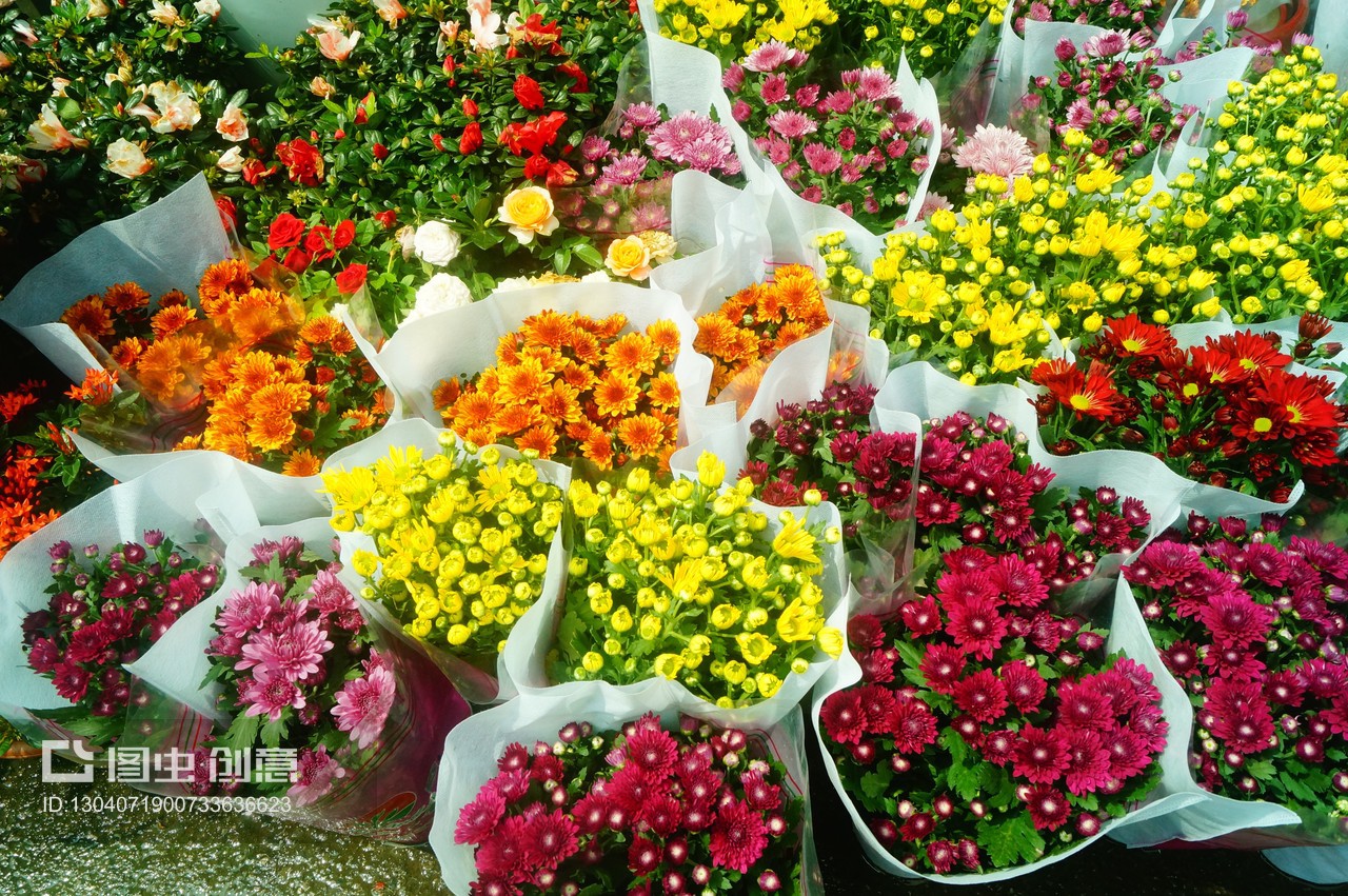 深圳花卉市場迎雙節(jié)，備足花卉植物盆景慶團(tuán)圓