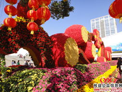 八面來風(fēng) 深圳園博園——國家重點(diǎn)公園中的花卉藝術(shù)殿堂