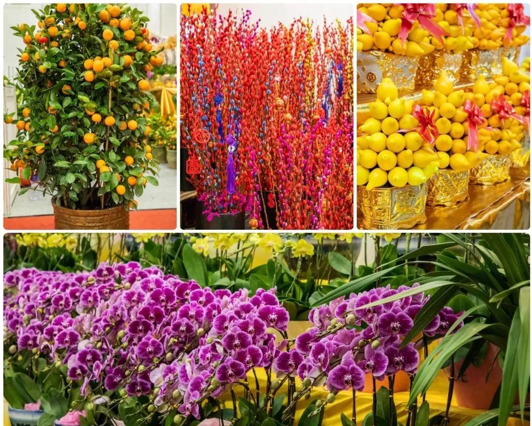 花漾鵬城，新春有約 3200個購花檔鋪就深圳人年味歸途